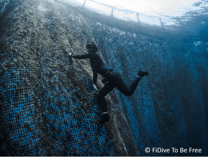 Dive Types for Freediver Freediving 101 FiDive to Be Free