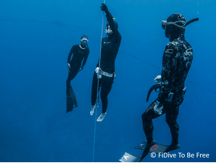 Dive Types for Freediver Freediving 101 FiDive to Be Free