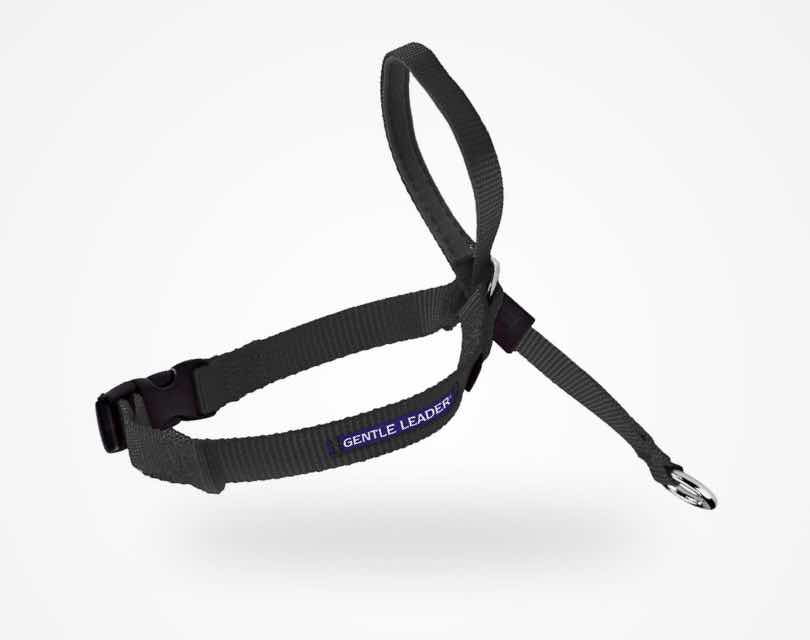 Dog Harnesses Fido Physio Hydrotherapy for your hound