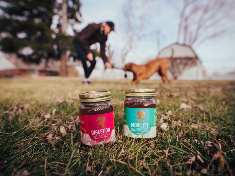 DIY Bone Broth Gummies for Happy, Healthy Dogs! Fido's Bone Broth