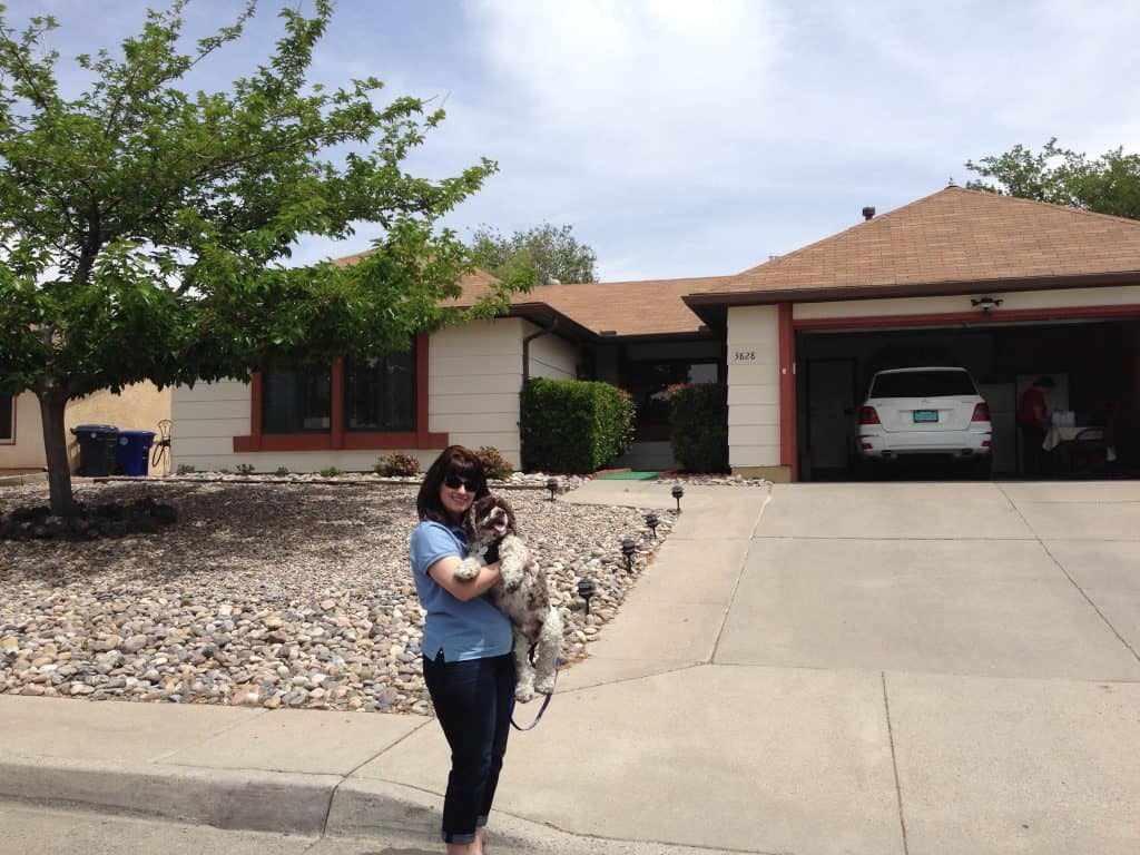 Breaking Bad Trolley Goes to the Dogs Fidose of Reality