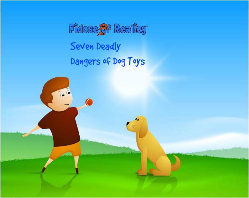 Are Rope Toys For Dogs Dangerous