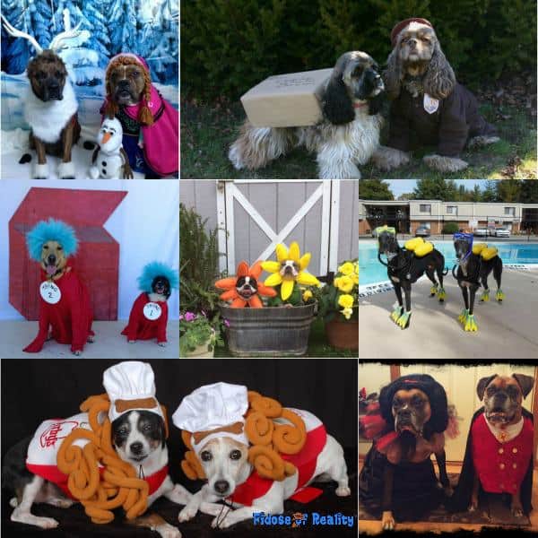 100 Halloween Costume Ideas for Dogs Fidose of Reality
