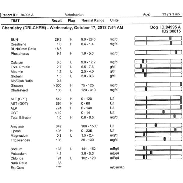 How To Treat and Prevent Gallbladder Disease In Dogs Fidose of Reality