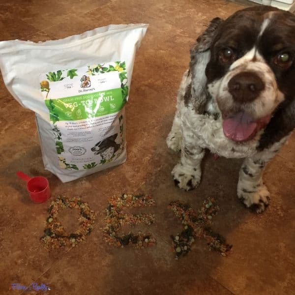 How To Easily Diagnose and Treat Colitis In Dogs Fidose of Reality