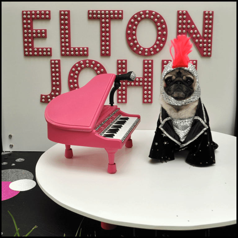 Dog Halloween Photo Contest Winners 2019 Fidose of Reality