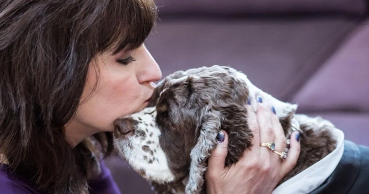How To Cope With The Fear Of My Dog Dying Tips To Survive Fidose of