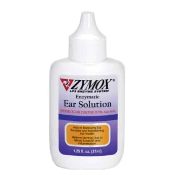 Best Dog Ear Infection Remedies Without Antibiotics Fidose of Reality