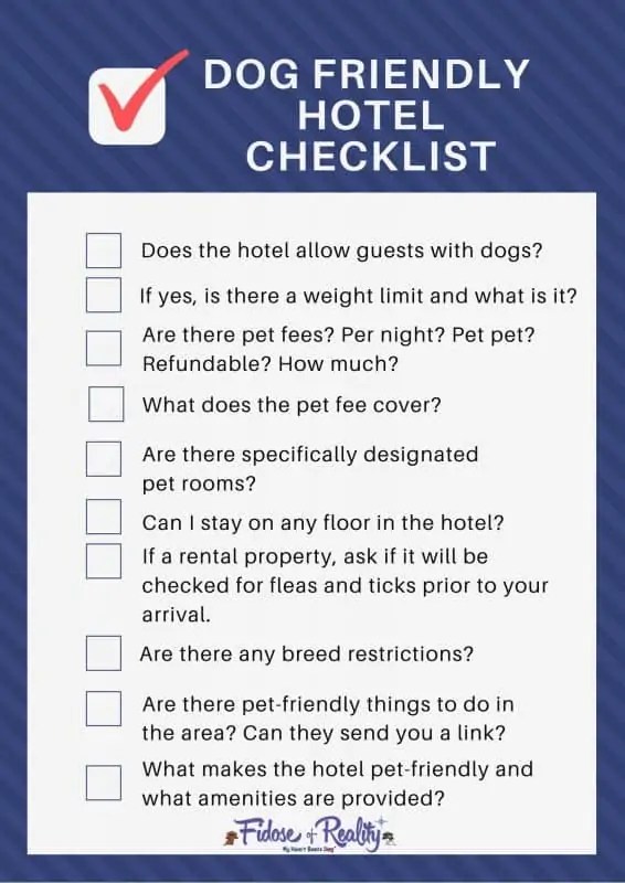How To Sneak A Dog Into A Hotel Fidose of Reality