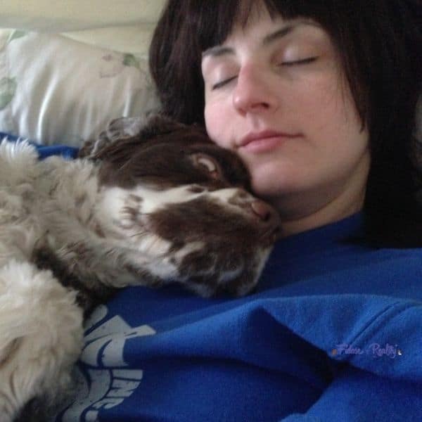 Does My Dog Love Me How To Tell Life Dog