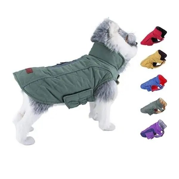10 Best Dog Coats For Cocker Spaniels Fidose of Reality