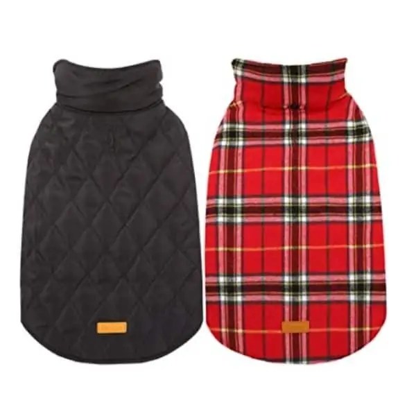 10 Best Dog Coats For Cocker Spaniels Fidose of Reality