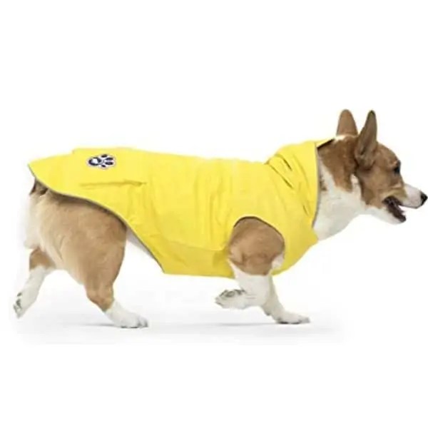 10 Best Dog Coats For Cocker Spaniels Fidose of Reality