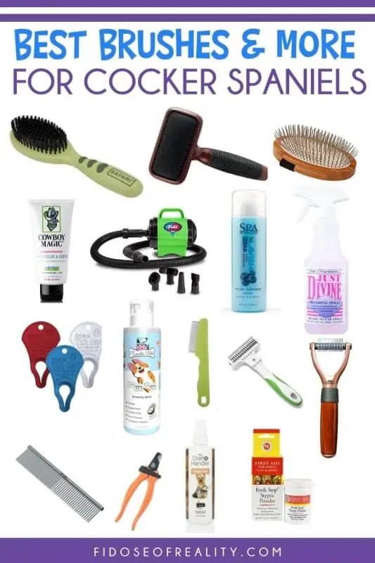 Best Brushes For Cocker Spaniels Fidose of Reality