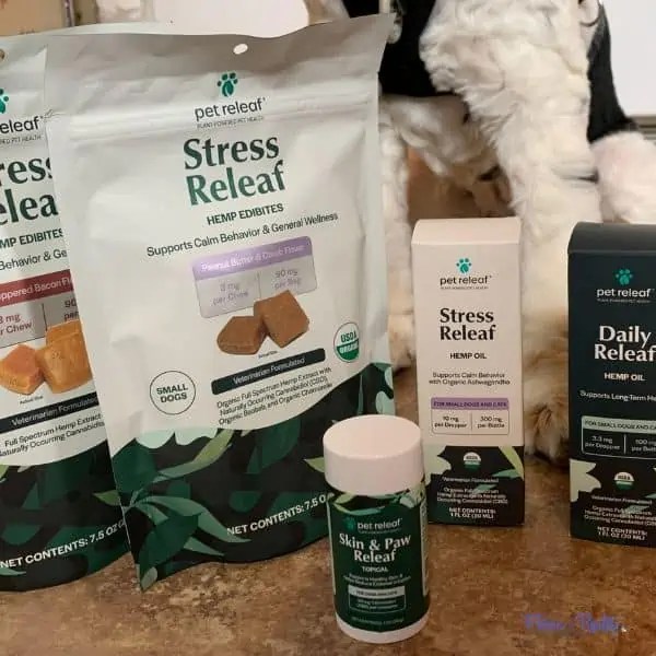 Is Hemp Oil Good For Dogs? Fidose of Reality