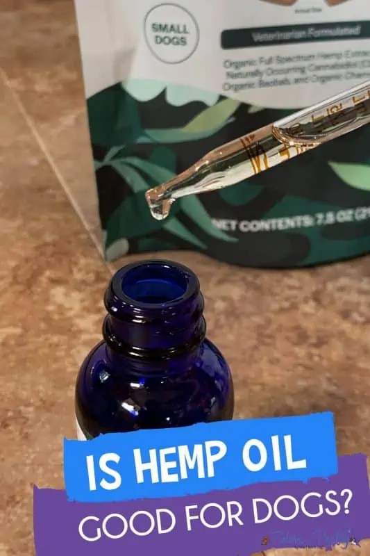 Is Hemp Oil Good For Dogs? Fidose of Reality