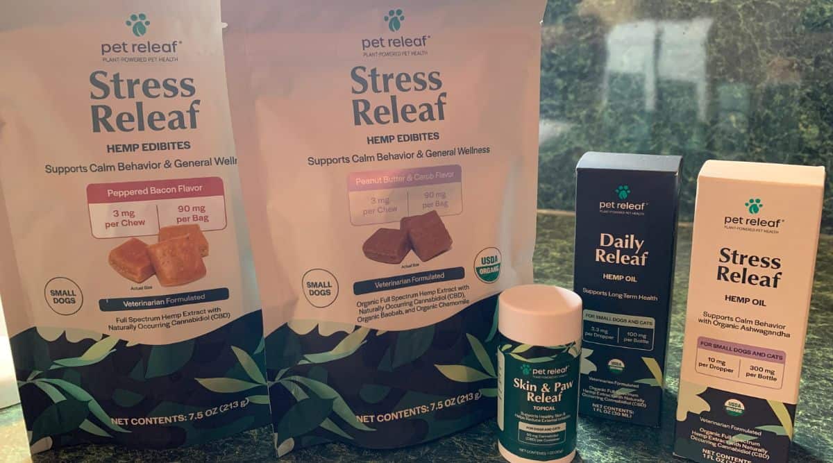 Are Hemp Products Safe For Dogs