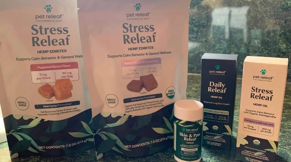 Is Hemp Oil Good For Dogs? Fidose of Reality