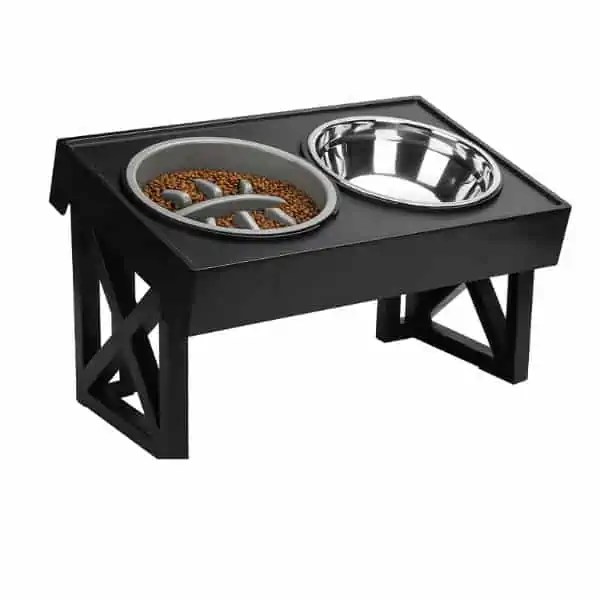 Best Bowls For Cocker Spaniels and Dogs With Long Ears Fidose of Reality