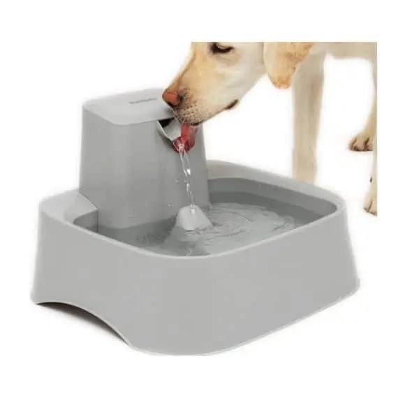 Best Bowls For Cocker Spaniels and Dogs With Long Ears Fidose of Reality