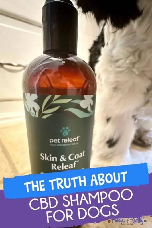 We Found Out If CBD Shampoo For Dogs Is Worth It Fidose of Reality