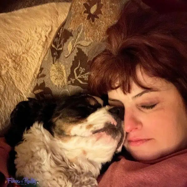 Is The Plufl Human Canine Mattress Value It? I Bought One To Uncover Out
