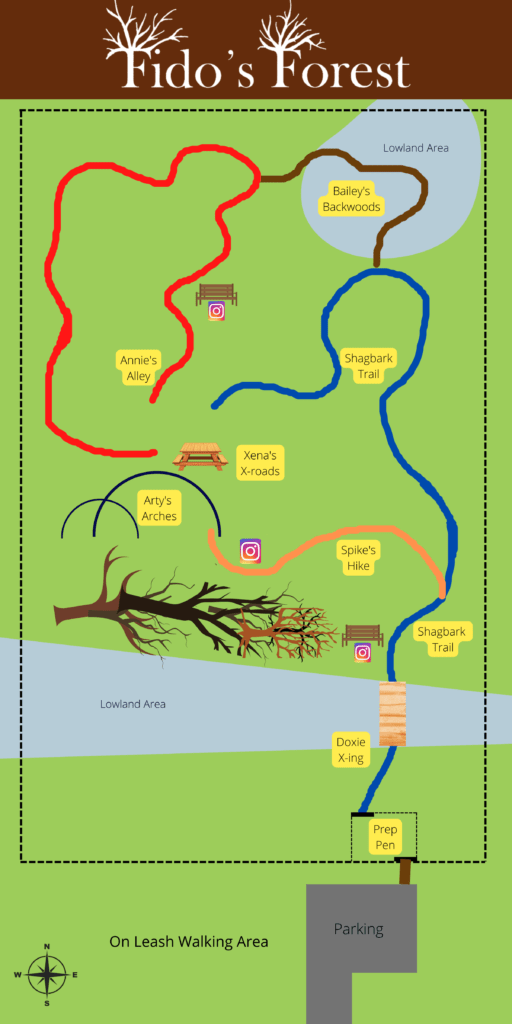 Fido's Forest Map Fido's Forest