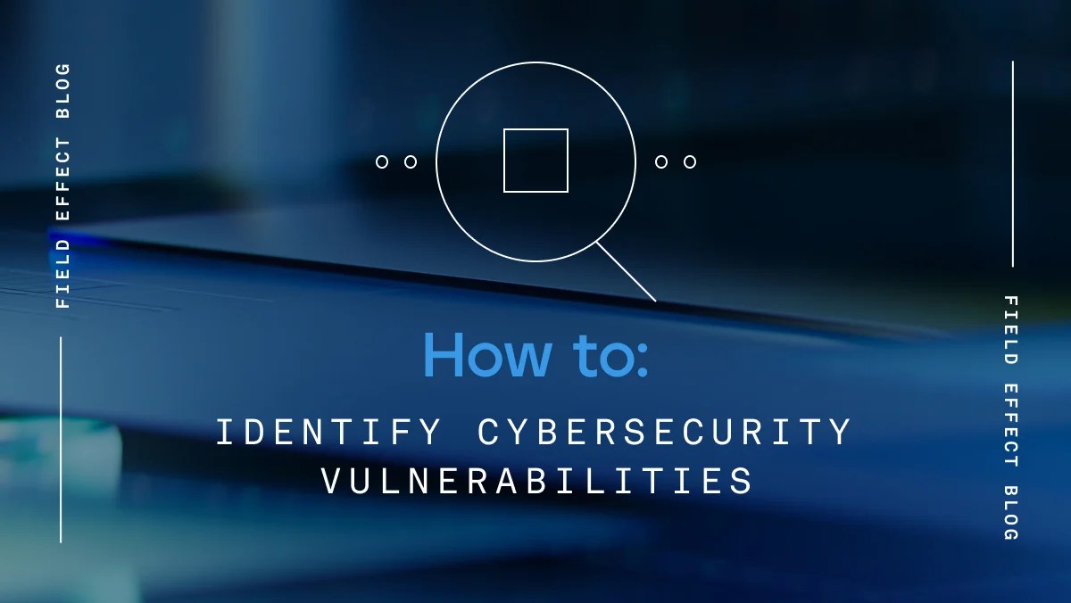 How to identify cybersecurity vulnerabilities Field Effect