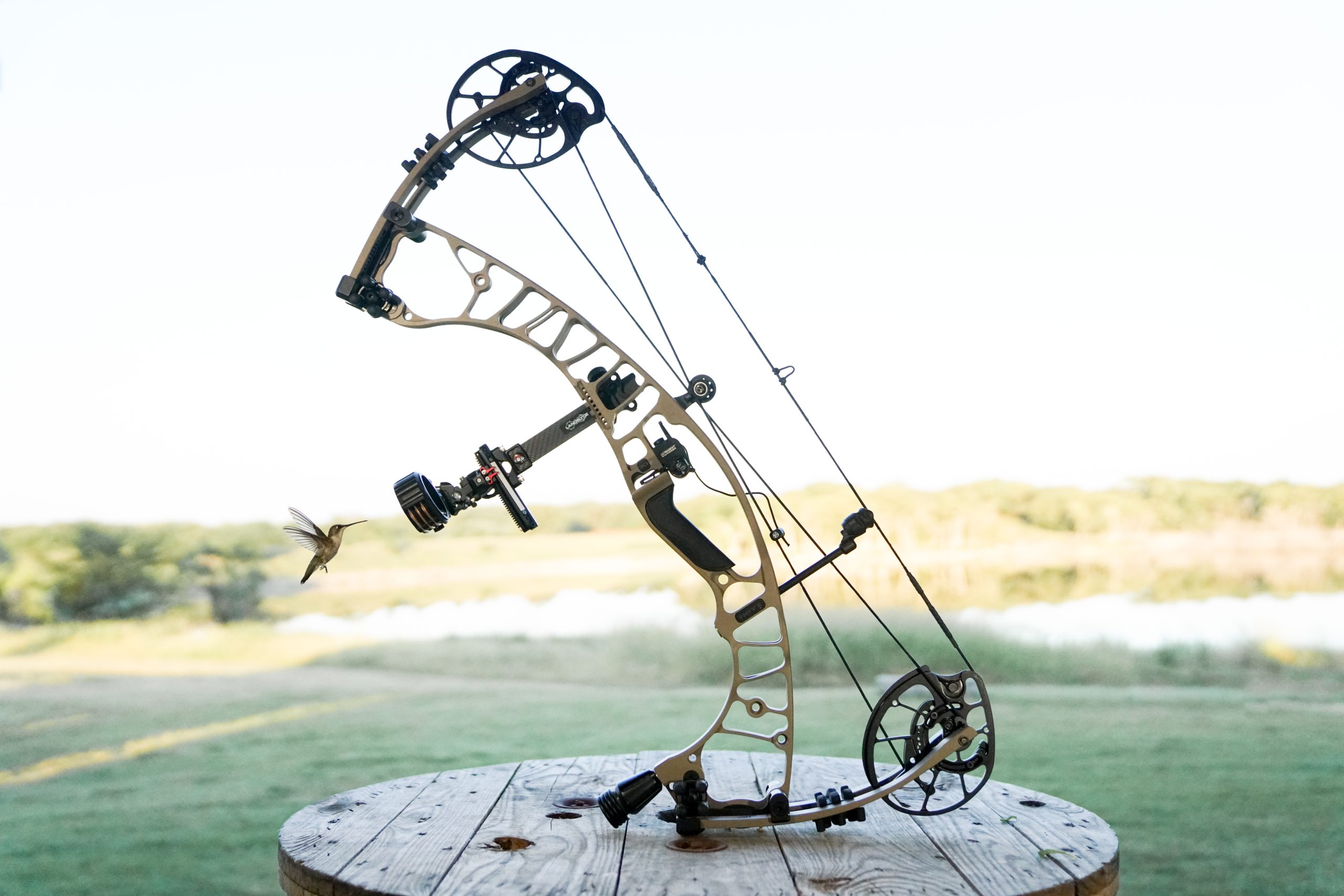 Hoyt Ventum Pro Review Field Ethos