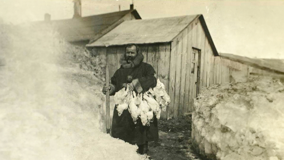 Chicken, Alaska Field Ethos