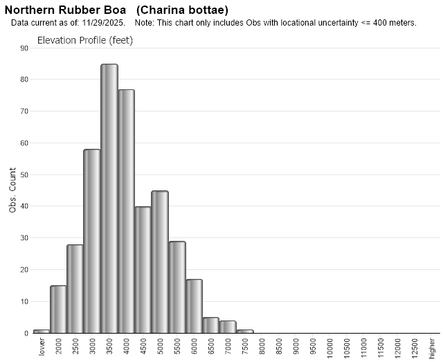 Northern Rubber Boa Montana Field Guide