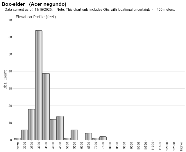 Boxelder Montana Field Guide