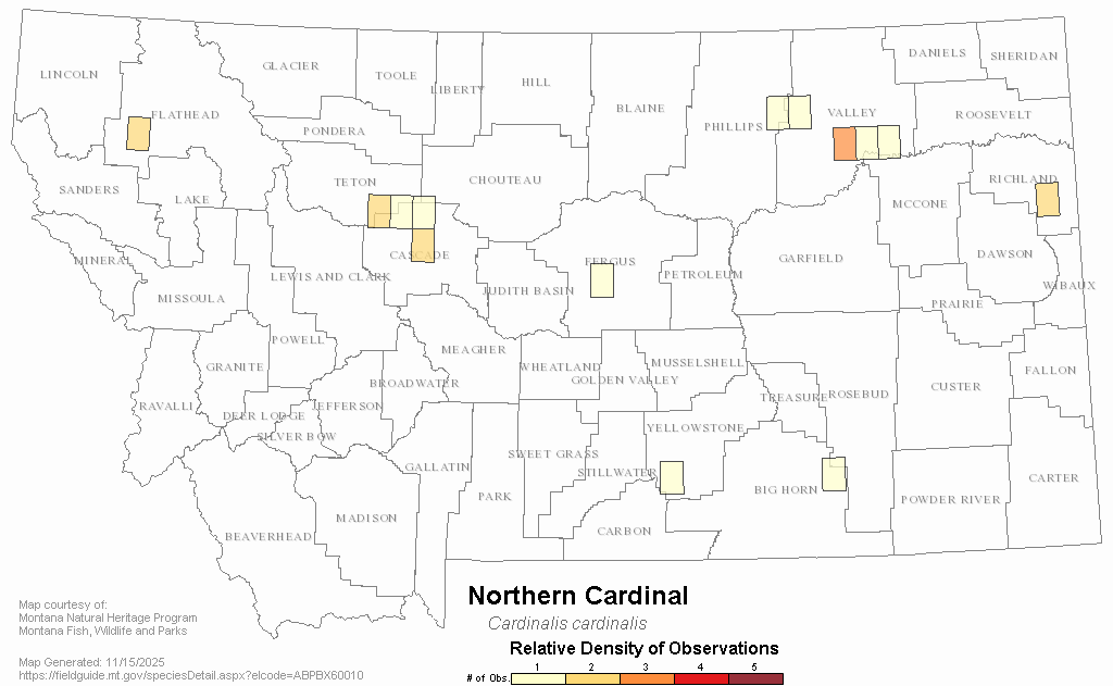 Northern Cardinal Montana Field Guide