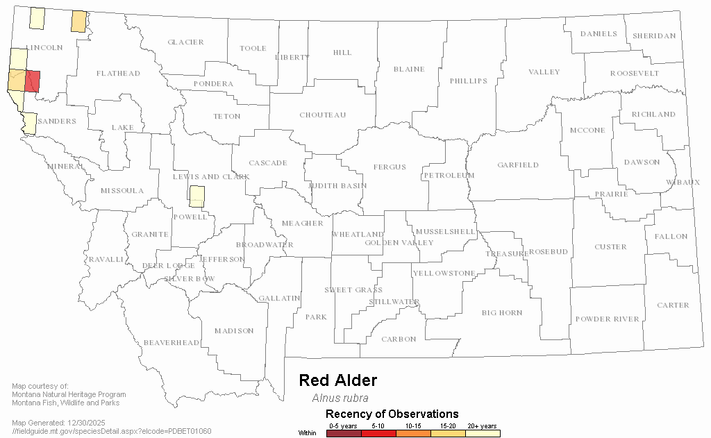 Red Alder Montana Field Guide