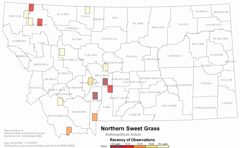 Northern Sweet Grass Montana Field Guide