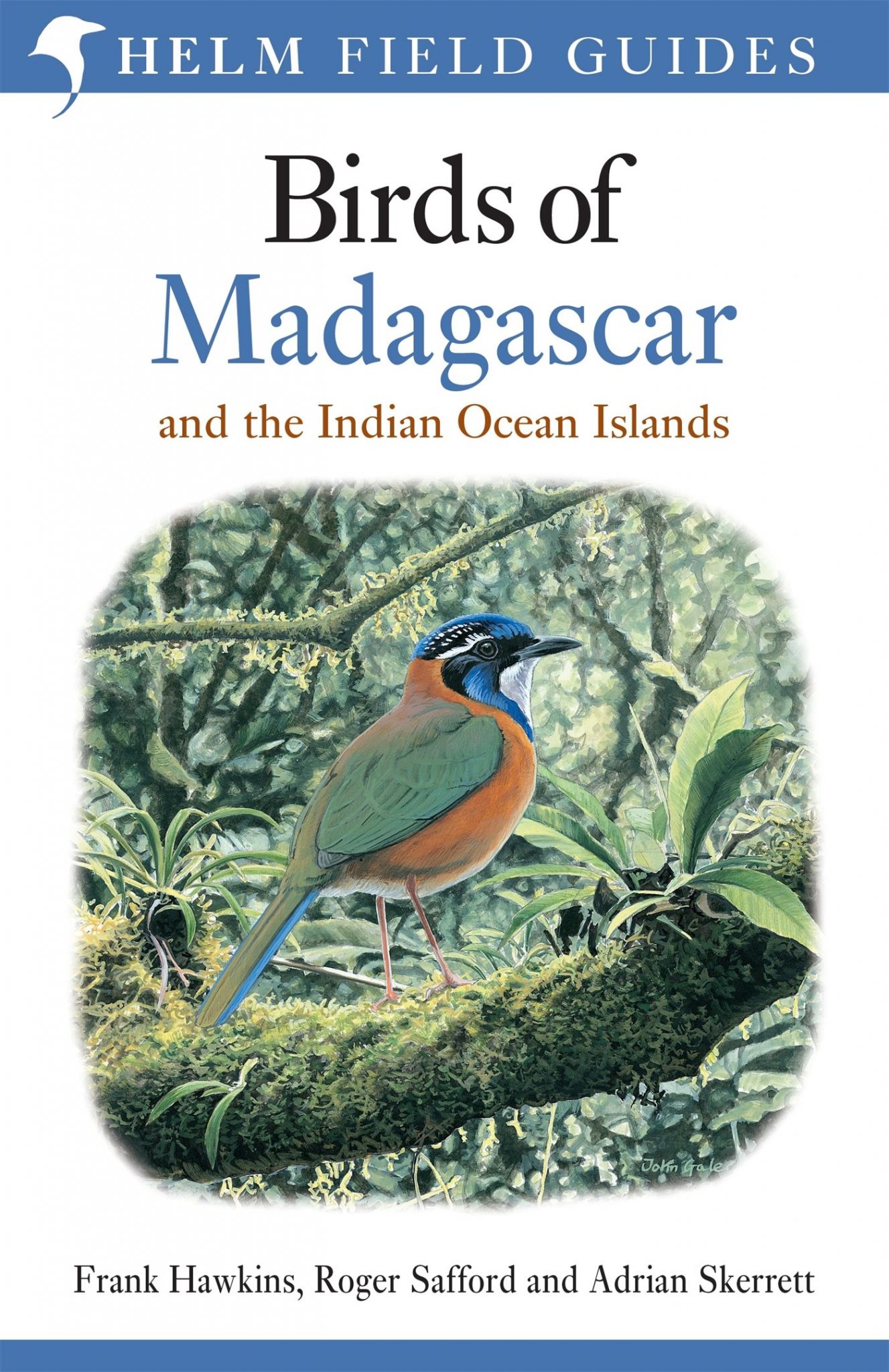 Birds of Madagascar and the Indian Ocean Islands (Helm Field Guides