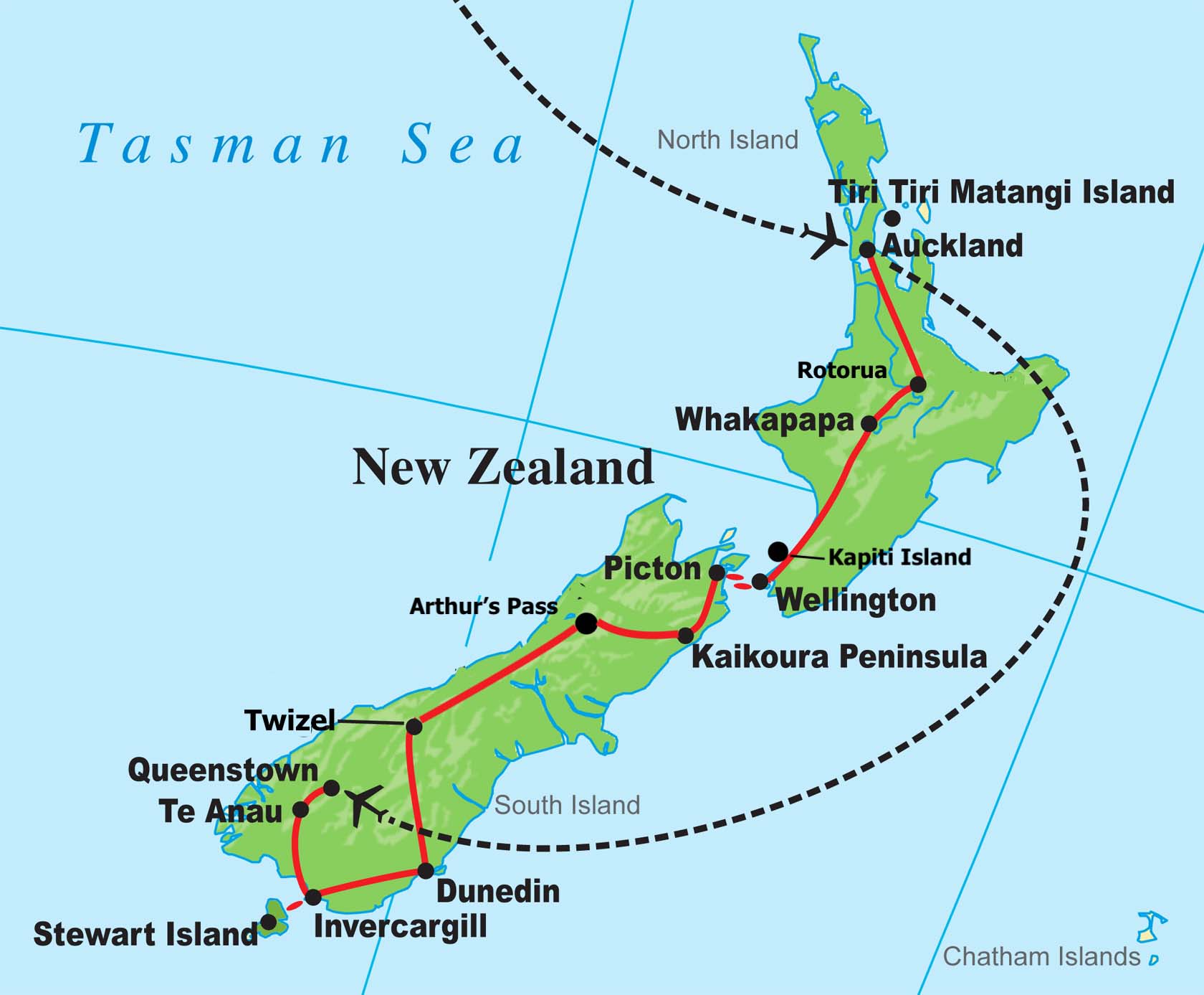 New Zealand Birding Tour with FIELD GUIDES Kiwis and Other Endemics