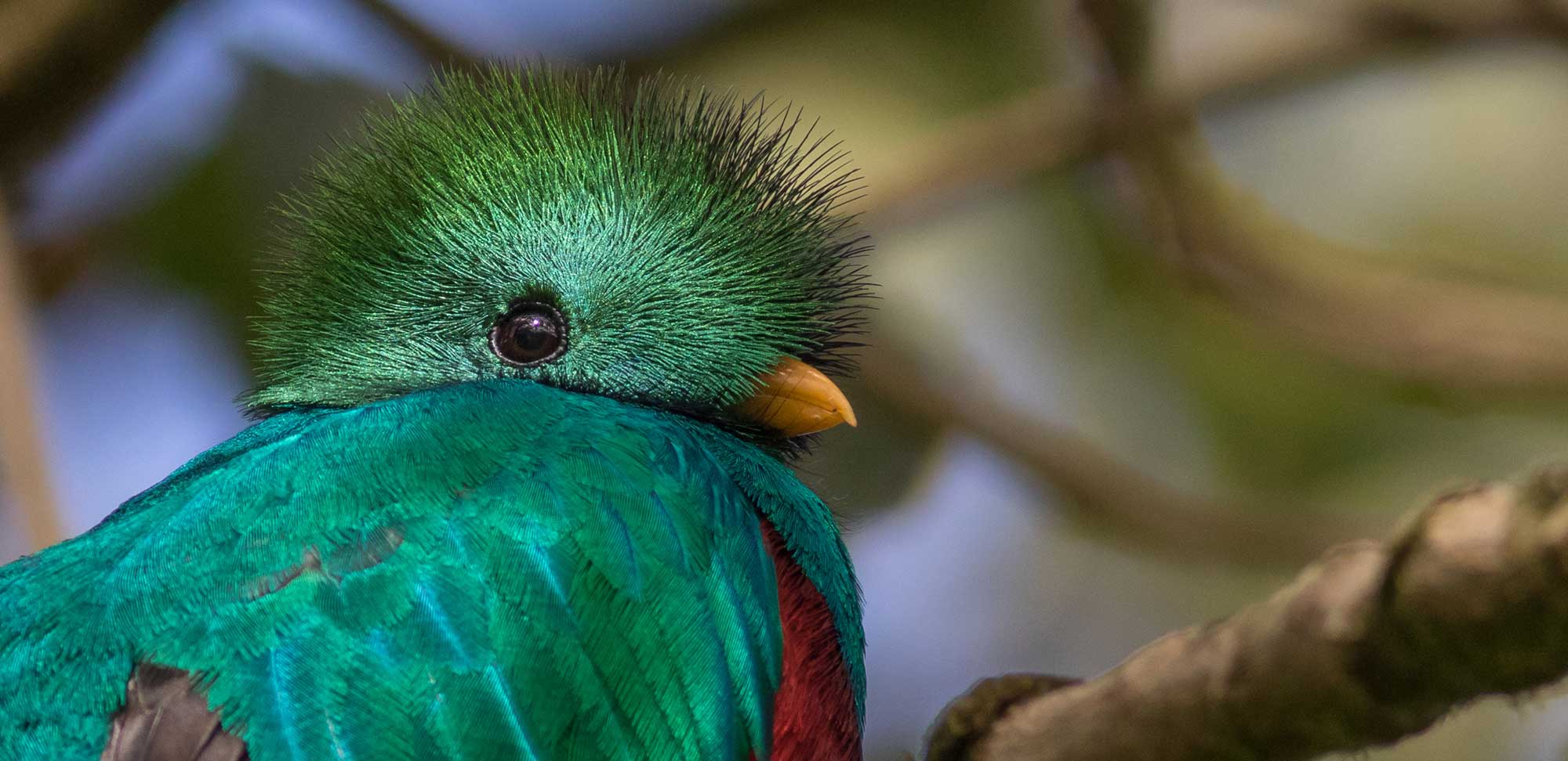 Birding Tours with FIELD GUIDES a lot of birds, a lot of fun
