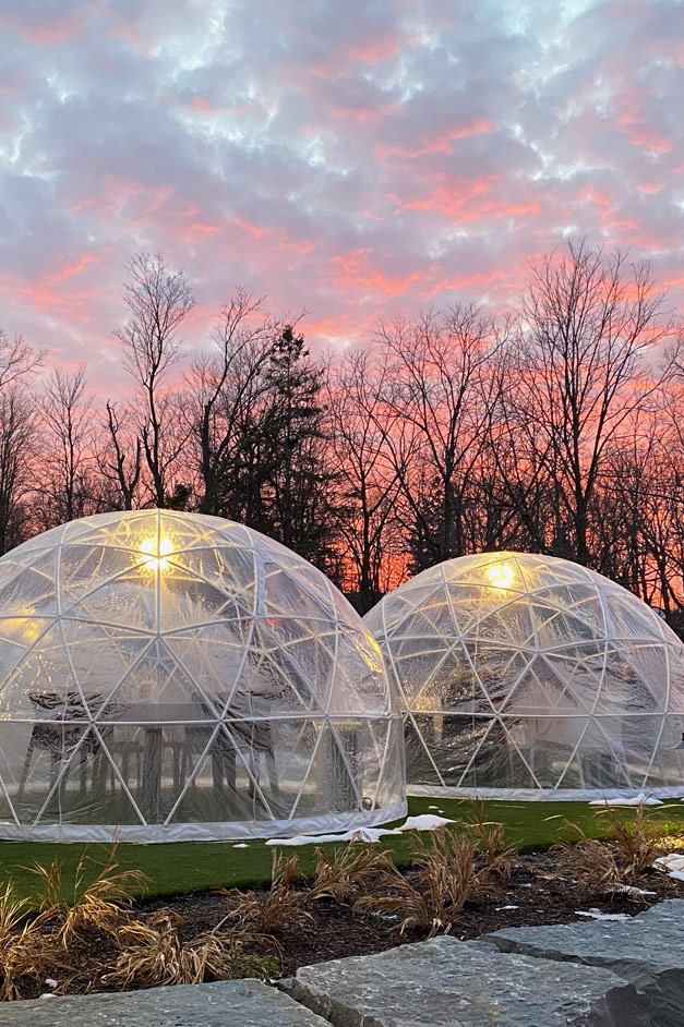 The Wine Dome Lounge Reservations Fielding Estates Winery