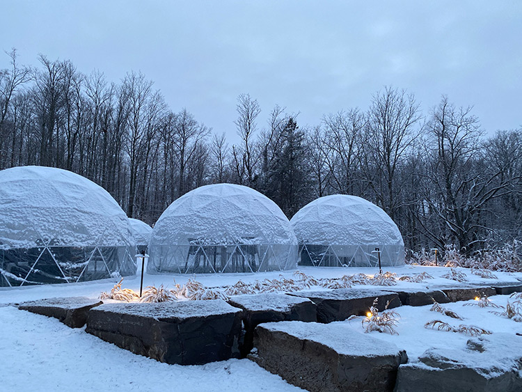 Tasting Experience in a Wine Dome Fielding Estate Winery