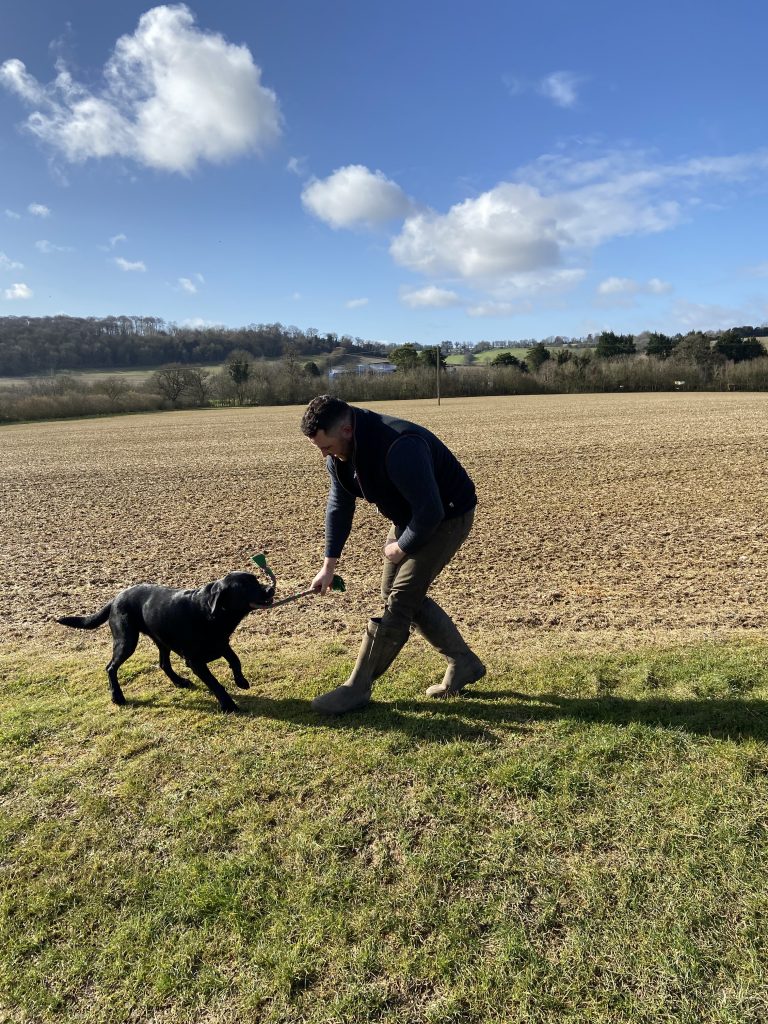 Dog Training Classes in Buckinghamshire FieldLines Dog Training