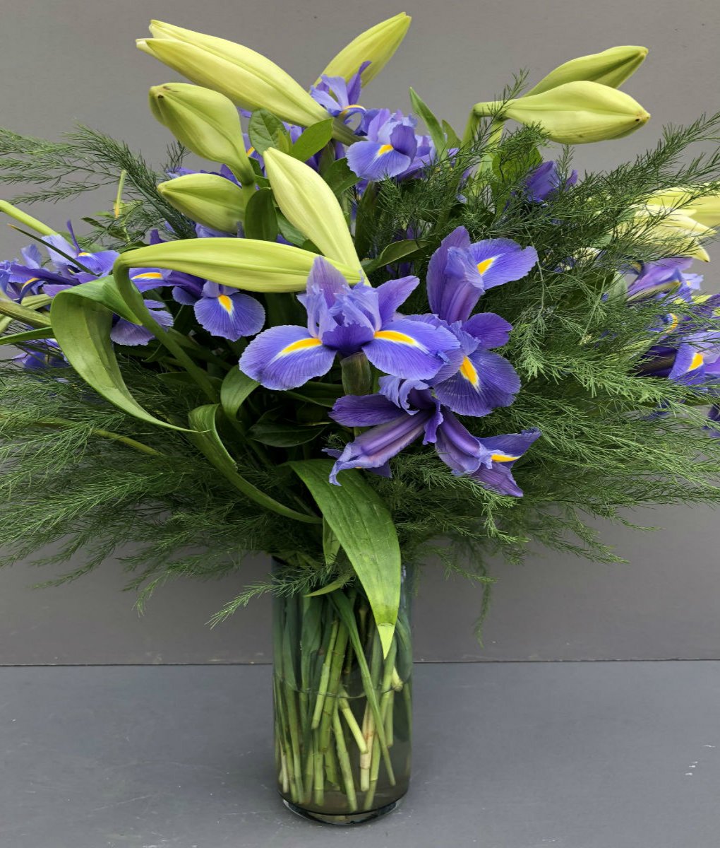 Royal Blue Fields of Colour Online Flower Shop