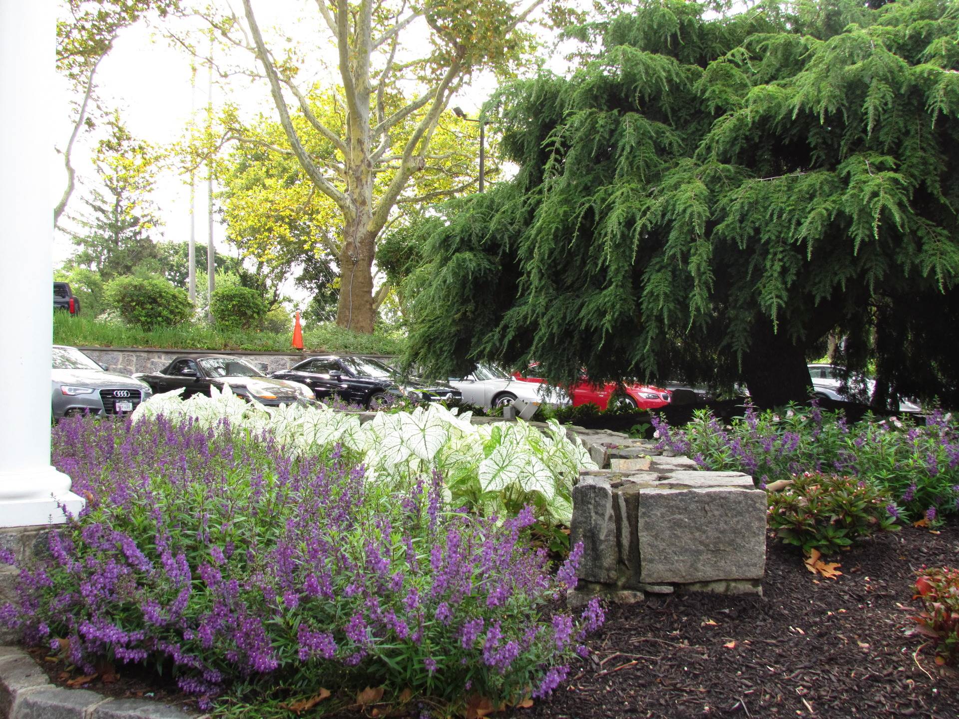 Wheatly Hills Golf Club Fields of Green