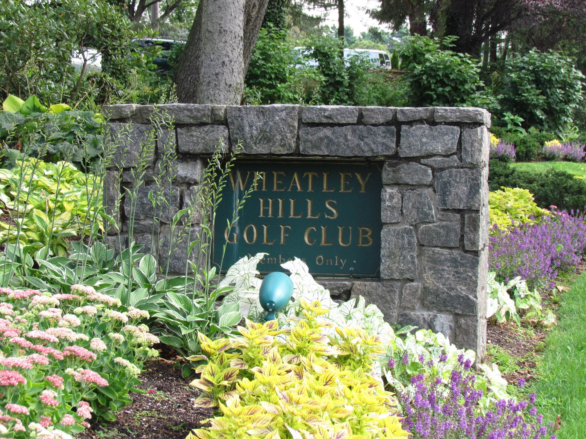 Wheatly Hills Golf Club Fields of Green