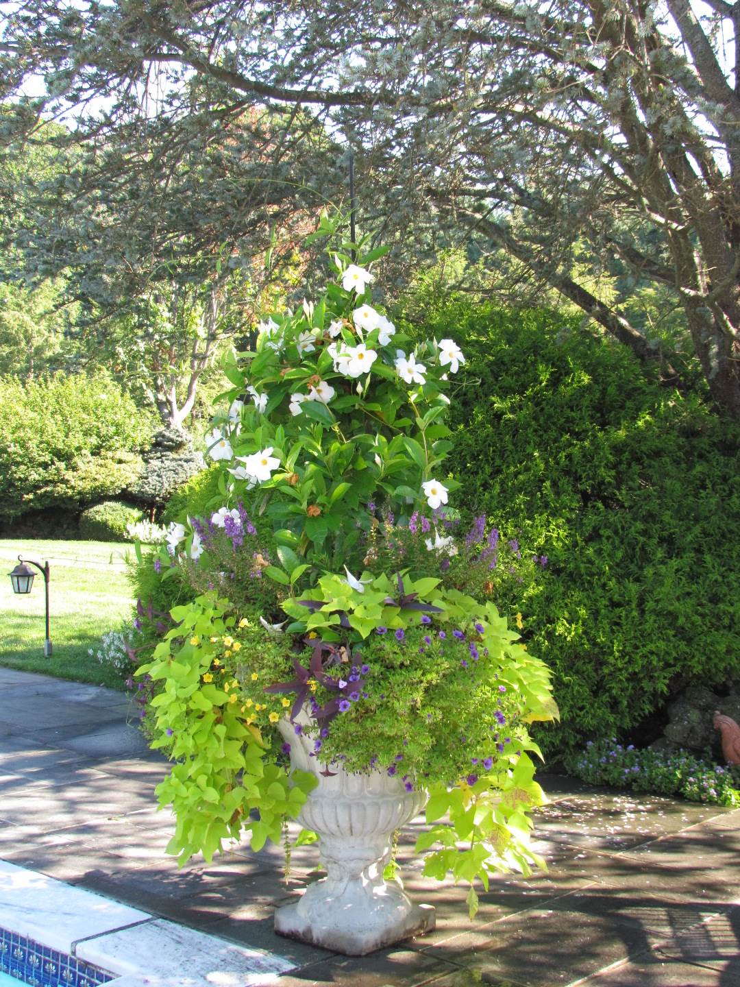 Estates Old Westbury Fields of Green