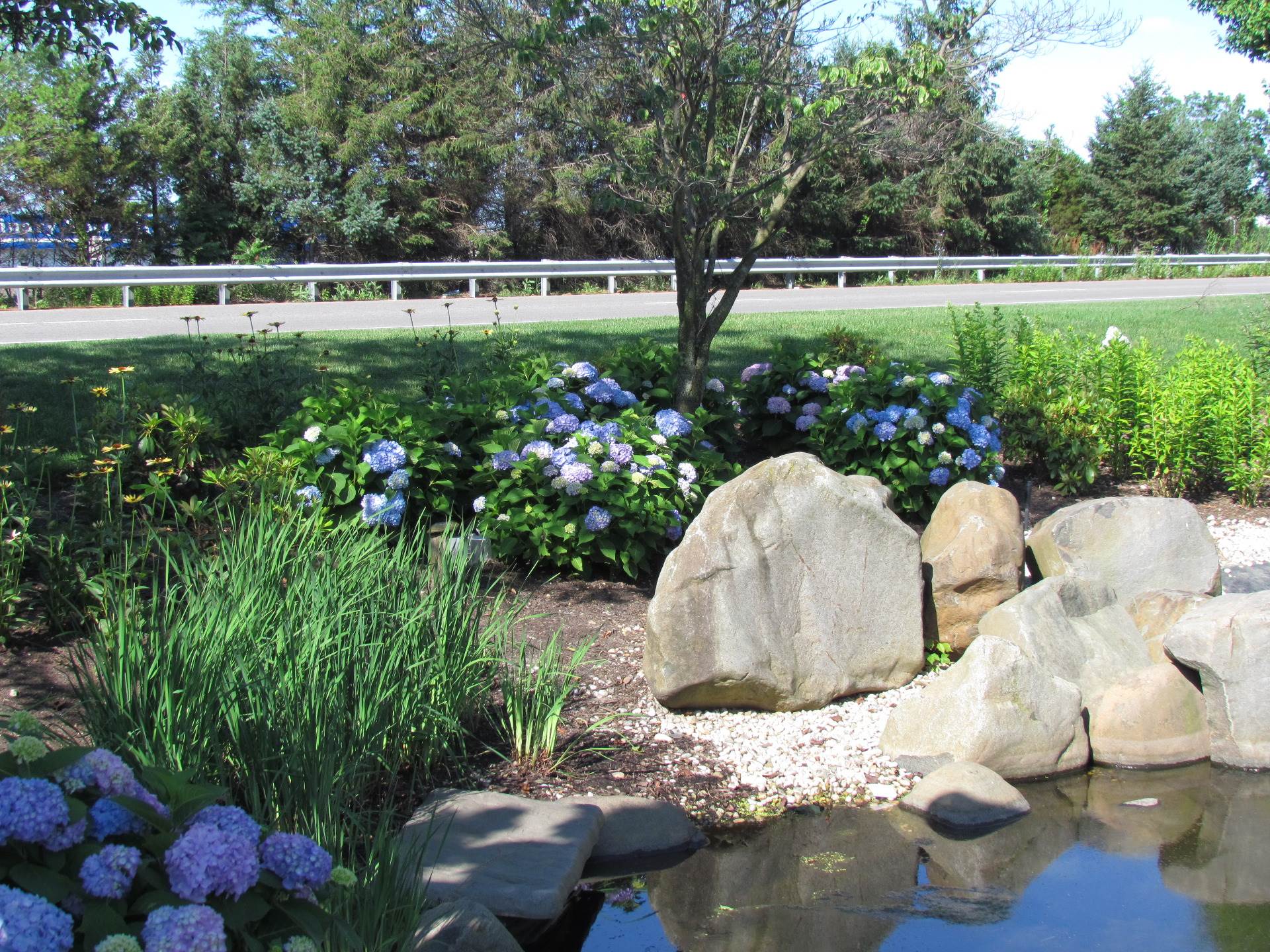 Residential The Hamlet on Olde Oyster Bay Fields of Green