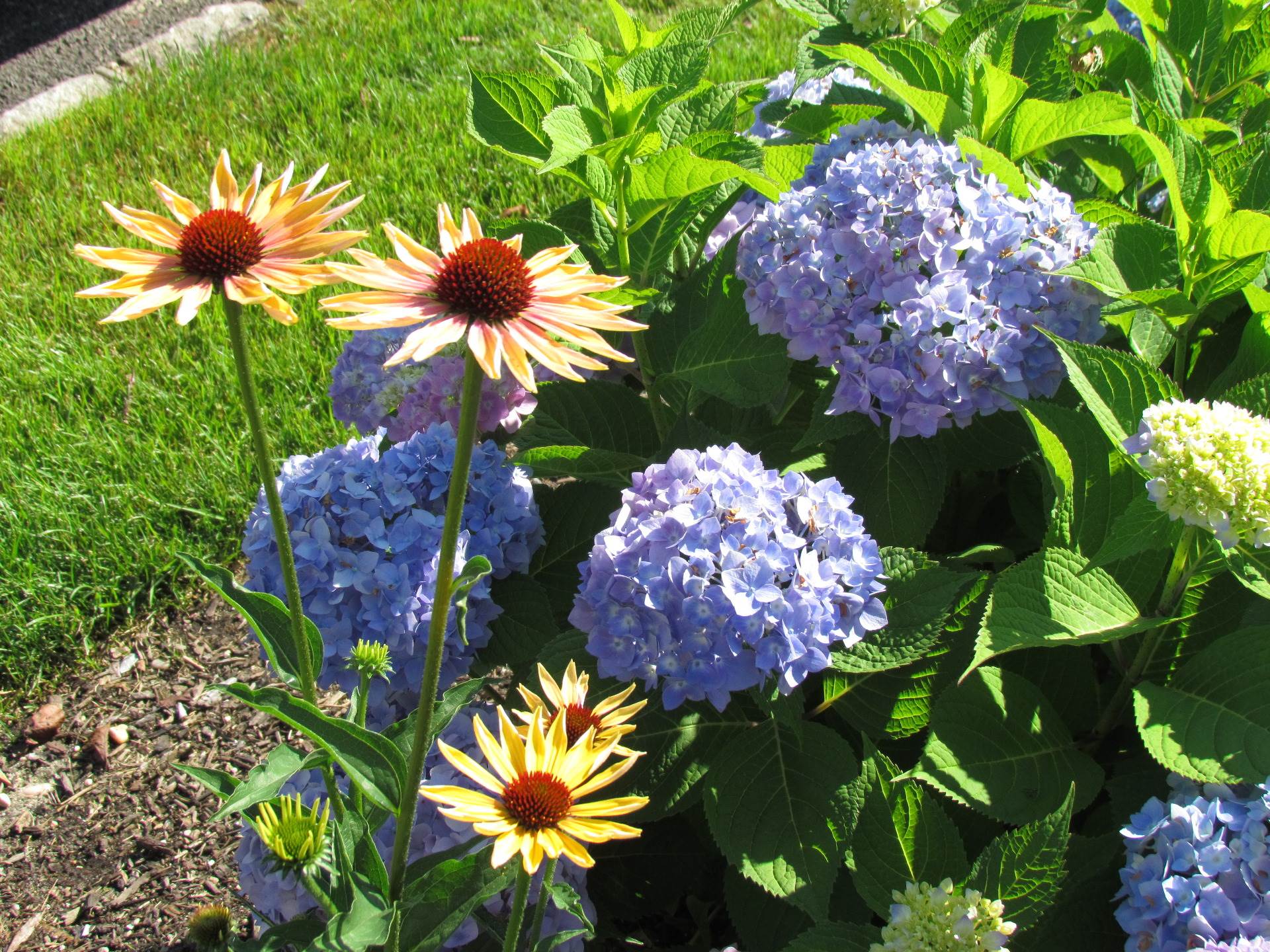 Residential The Hamlet on Olde Oyster Bay Fields of Green
