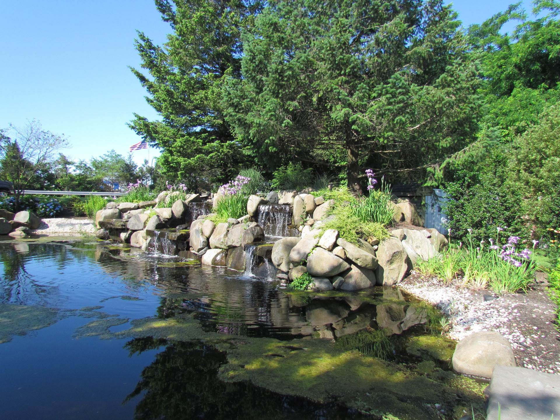 Residential The Hamlet on Olde Oyster Bay Fields of Green