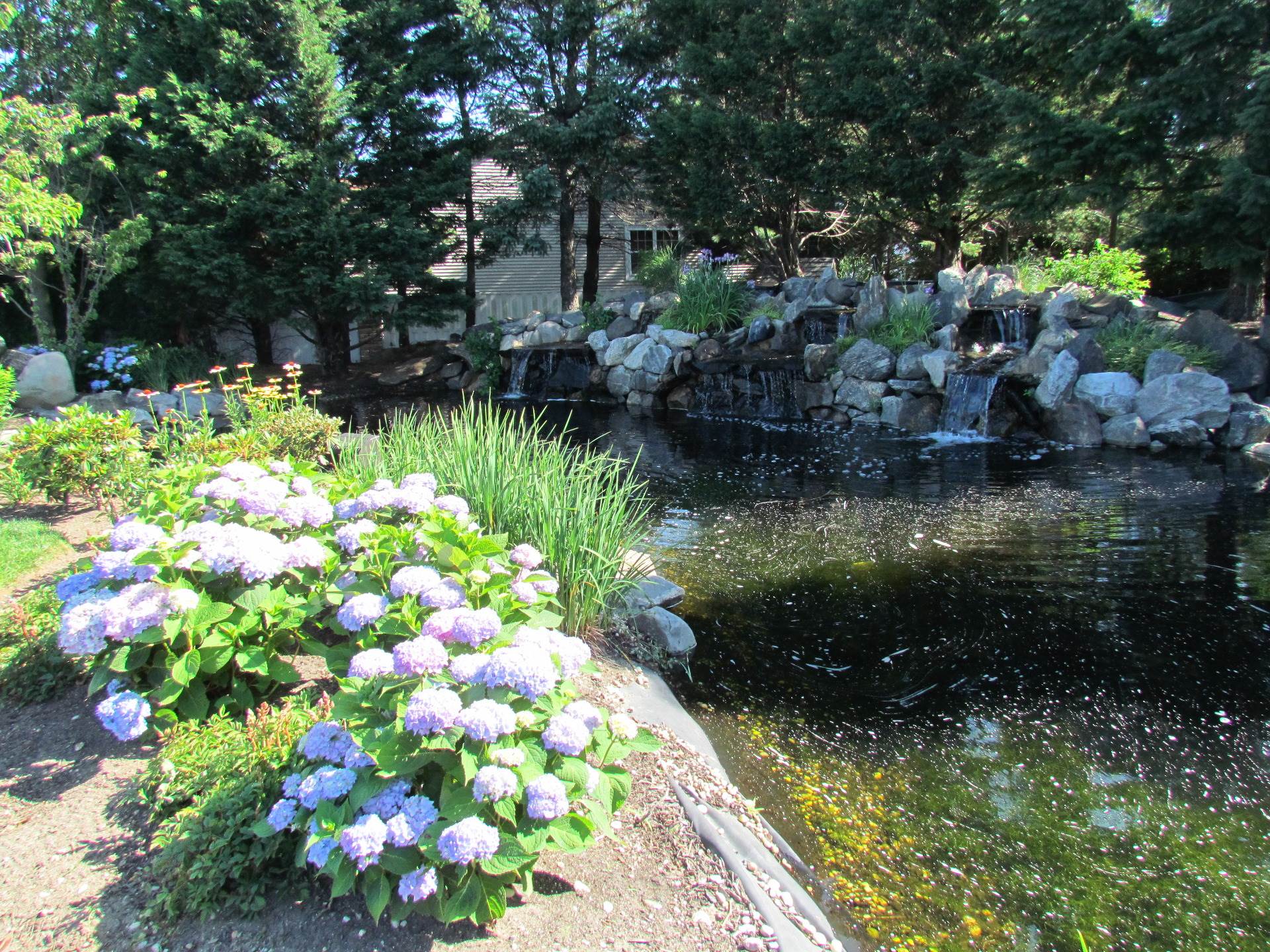 Residential The Hamlet on Olde Oyster Bay Fields of Green