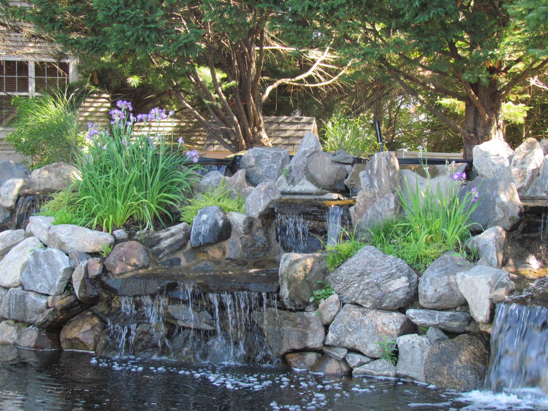 Residential The Hamlet on Olde Oyster Bay Fields of Green